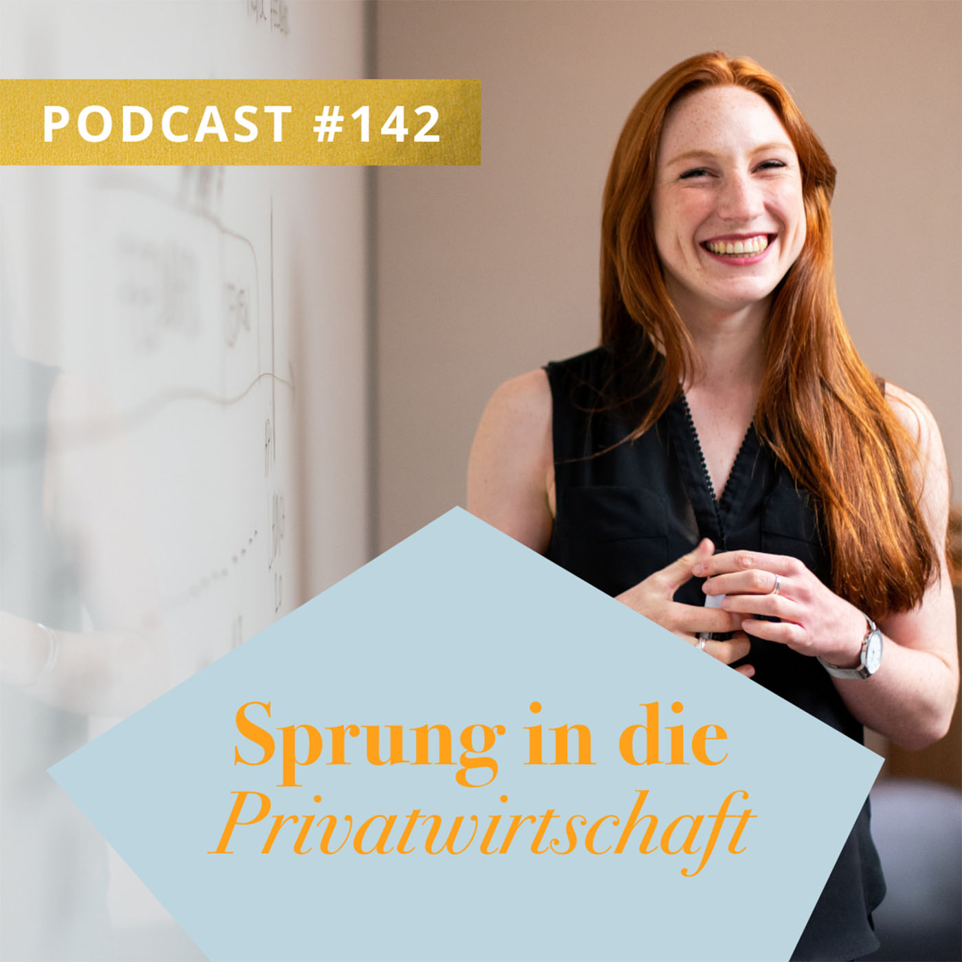 Sprung in die Privatwirtschaft episode artwork