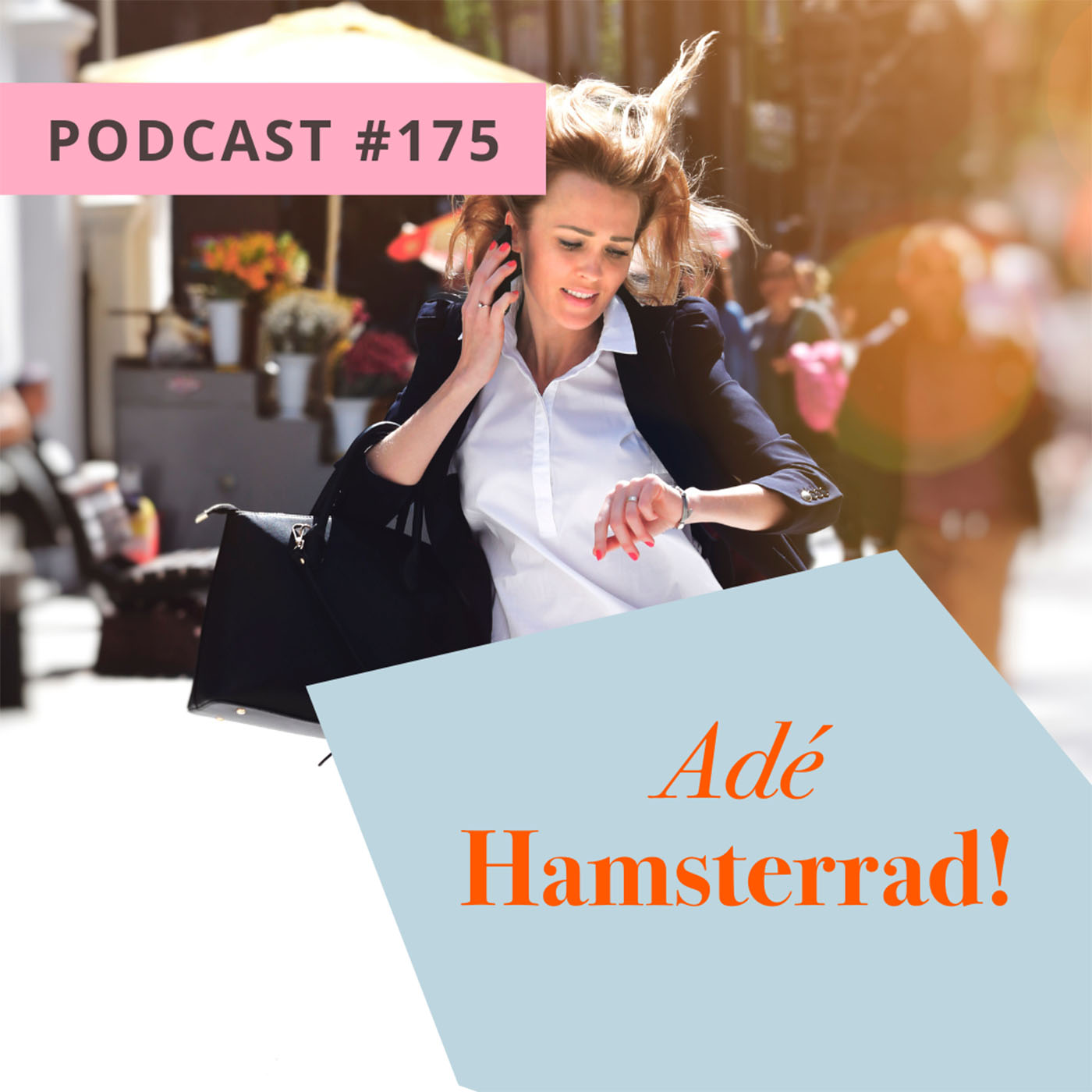 Adé Hamsterrad! episode artwork