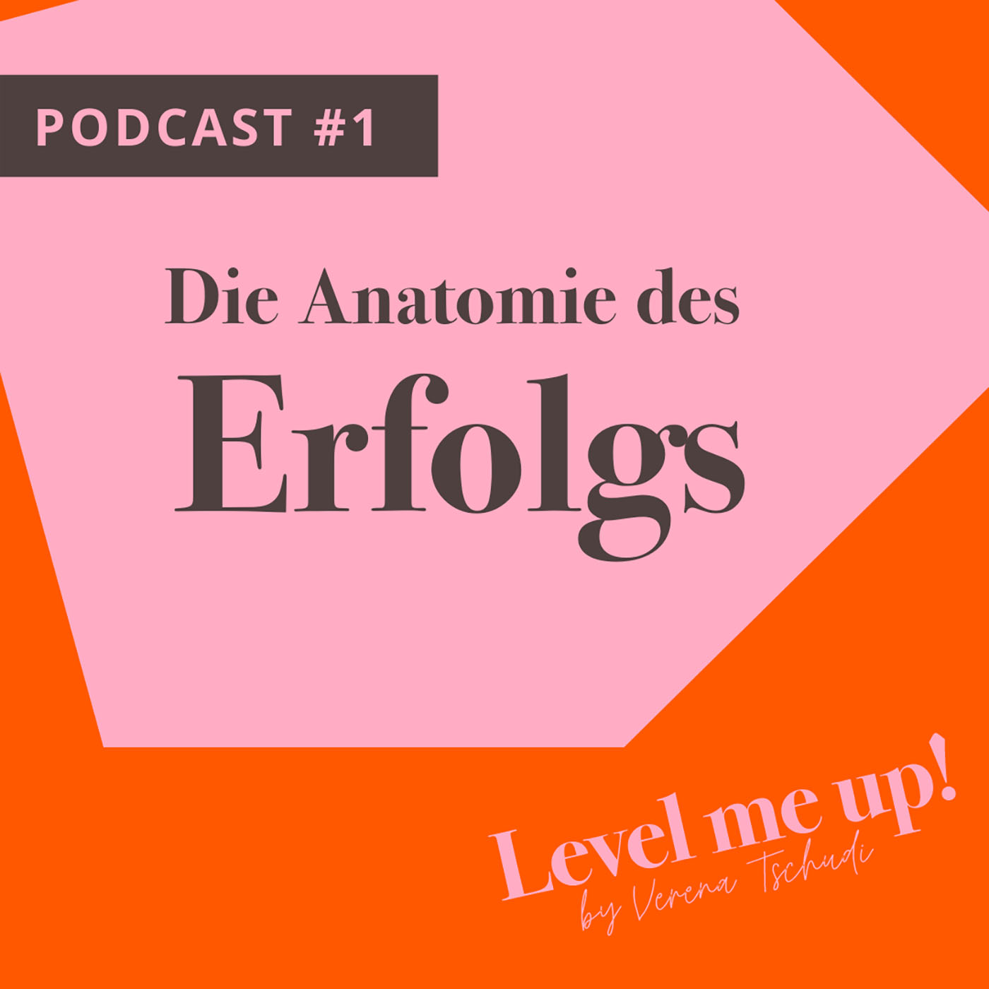 Die Anatomie des Erfolgs episode artwork