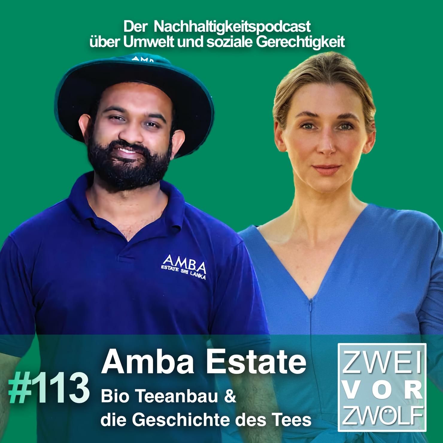 #113 Amba Estate – Bio Teeanbau & die Geschichte des Tees episode artwork