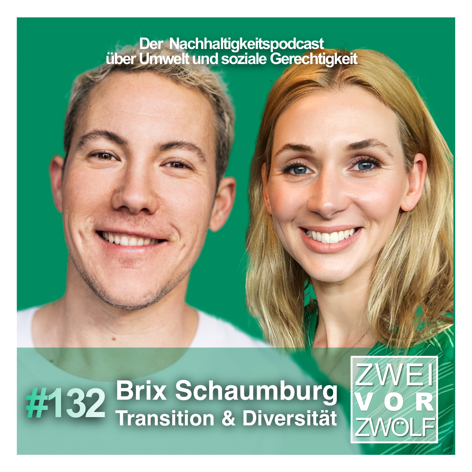#132 Brix Schaumburg - Transition & Diversität episode artwork