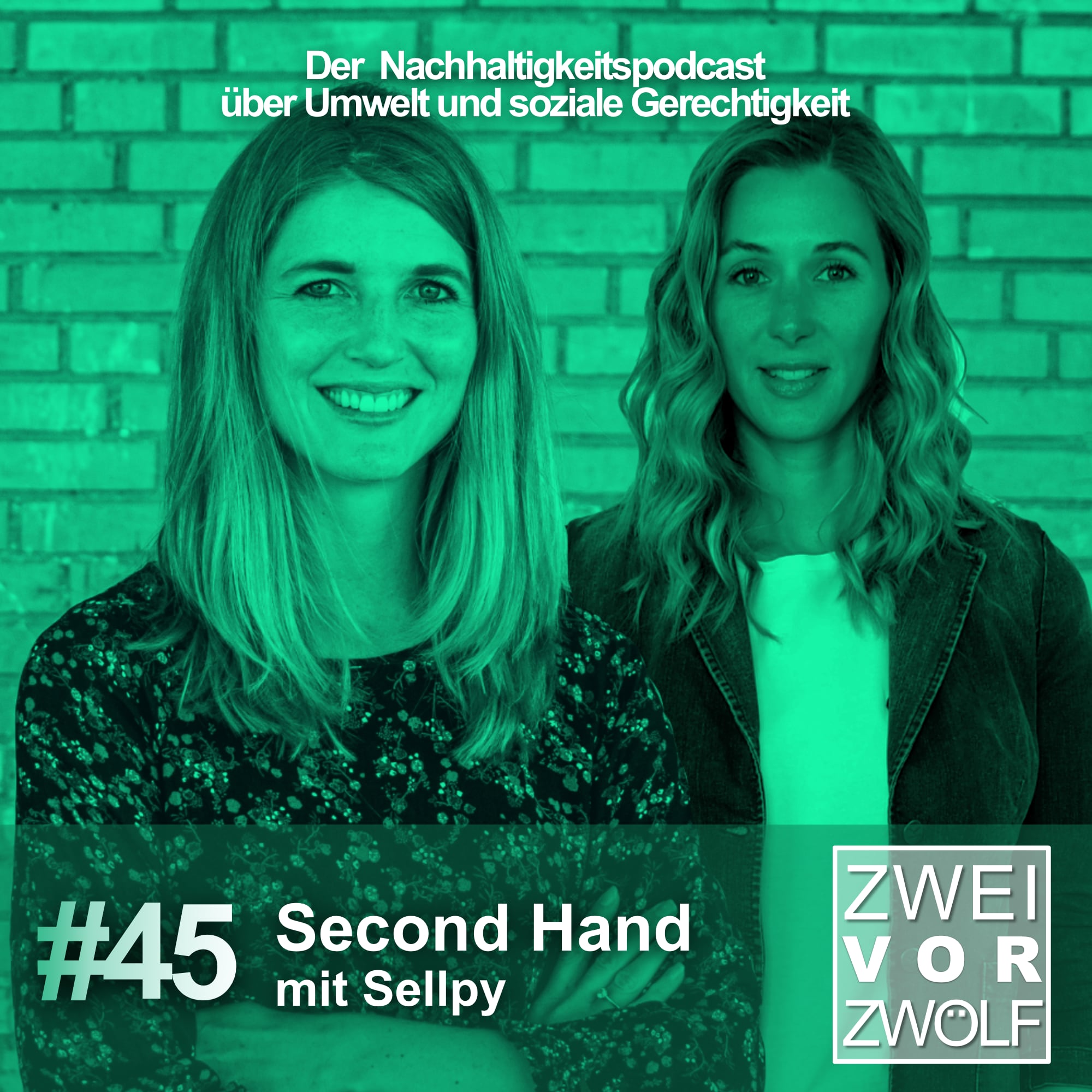 #45 Second Hand mit Sellpy episode artwork