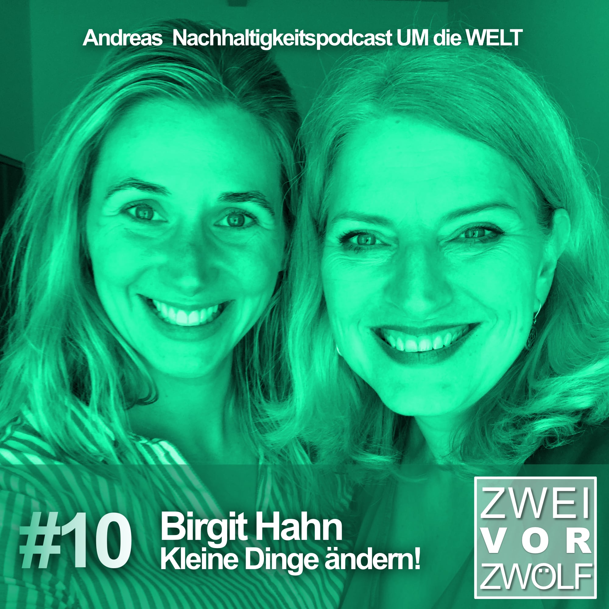 #10 Birgit Hahn: Kleine Dinge ändern! episode artwork