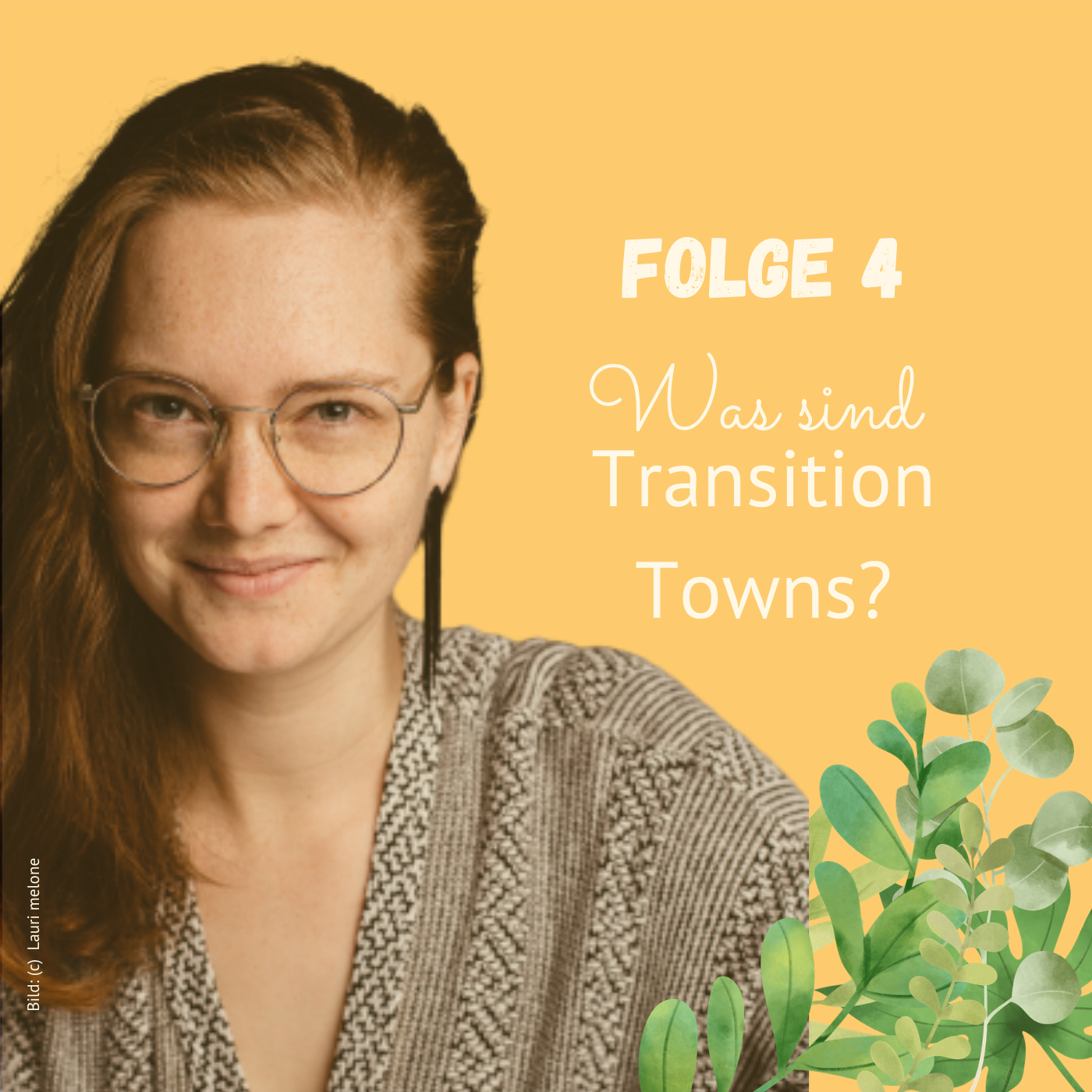 Folge 4: Was sind Transition Towns? episode artwork