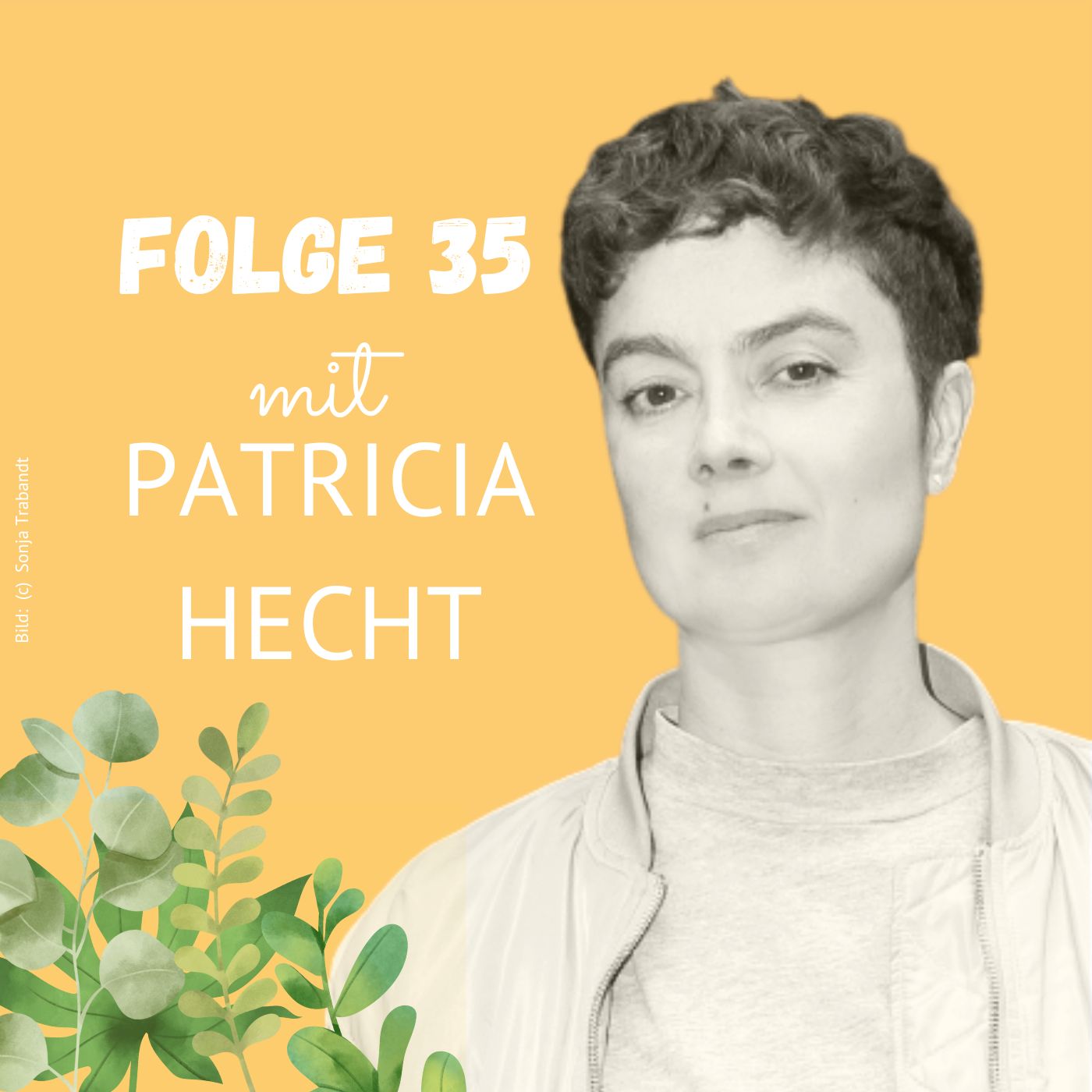 *Special* Folge 35: Patricia Hecht über Roe vs. Wade, Abtreibung und reproduktive Rechte episode artwork