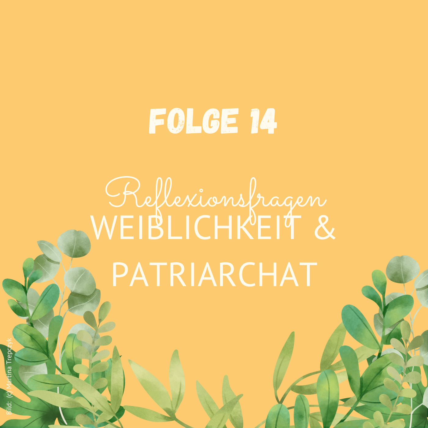 Folge 14: Reflexionsfragen zu Weiblichkeit & Patriarchat