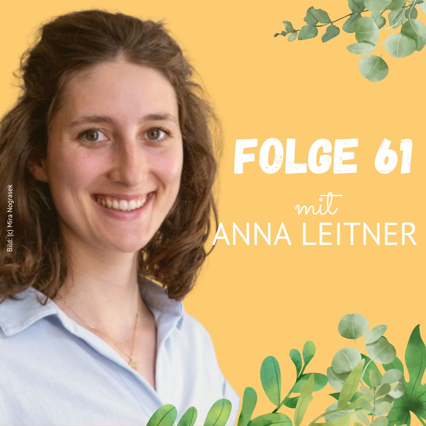 Folge 61: Anna Leitner über das EU-Lieferkettengesetz episode artwork