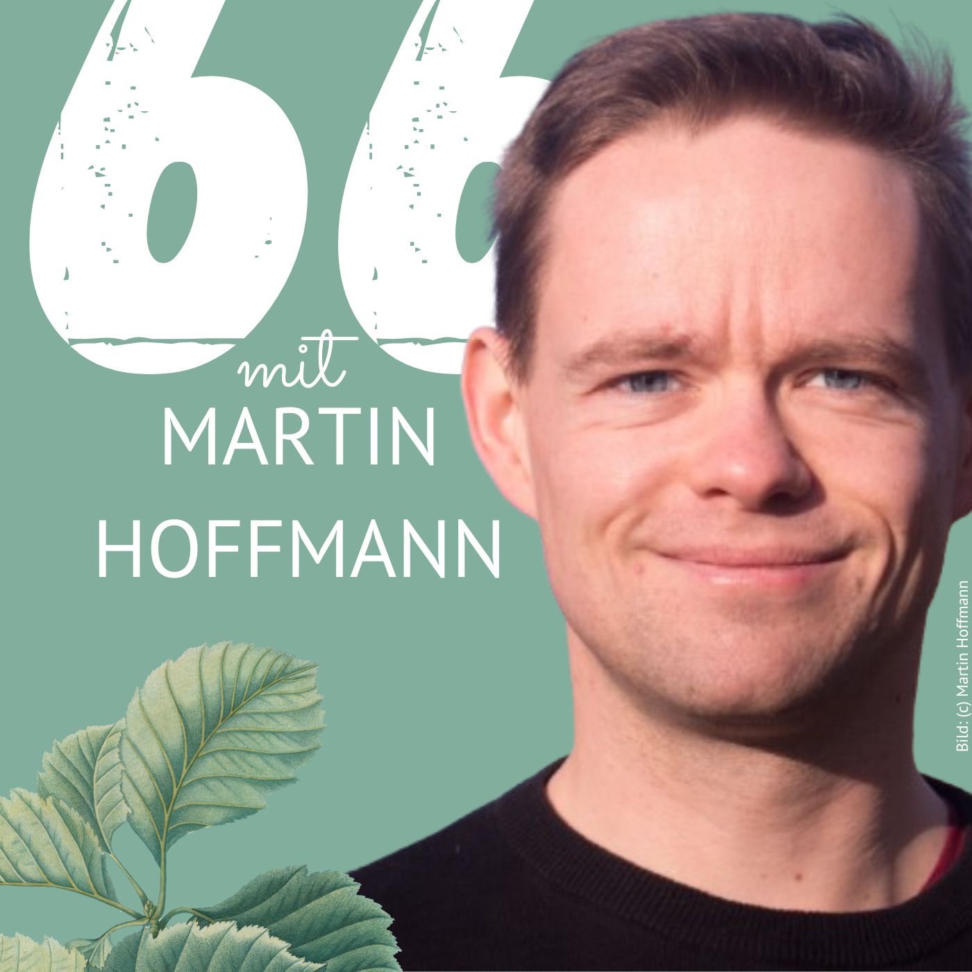 66: Martin Hoffmann über Earth4All episode artwork