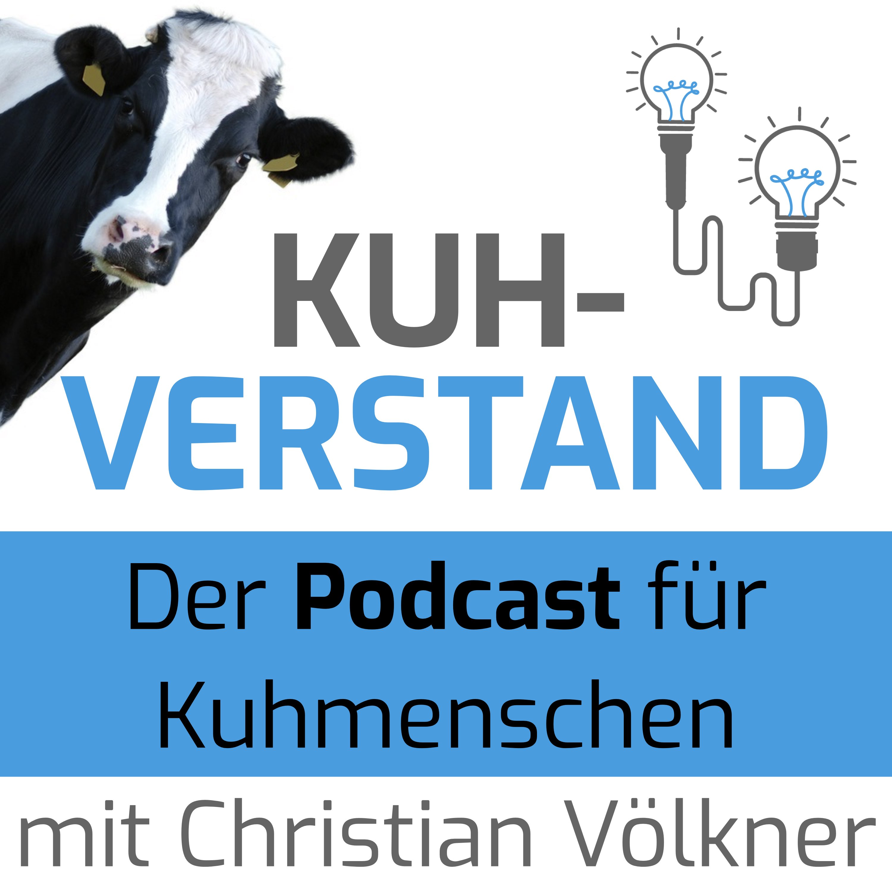 Kuhverstand