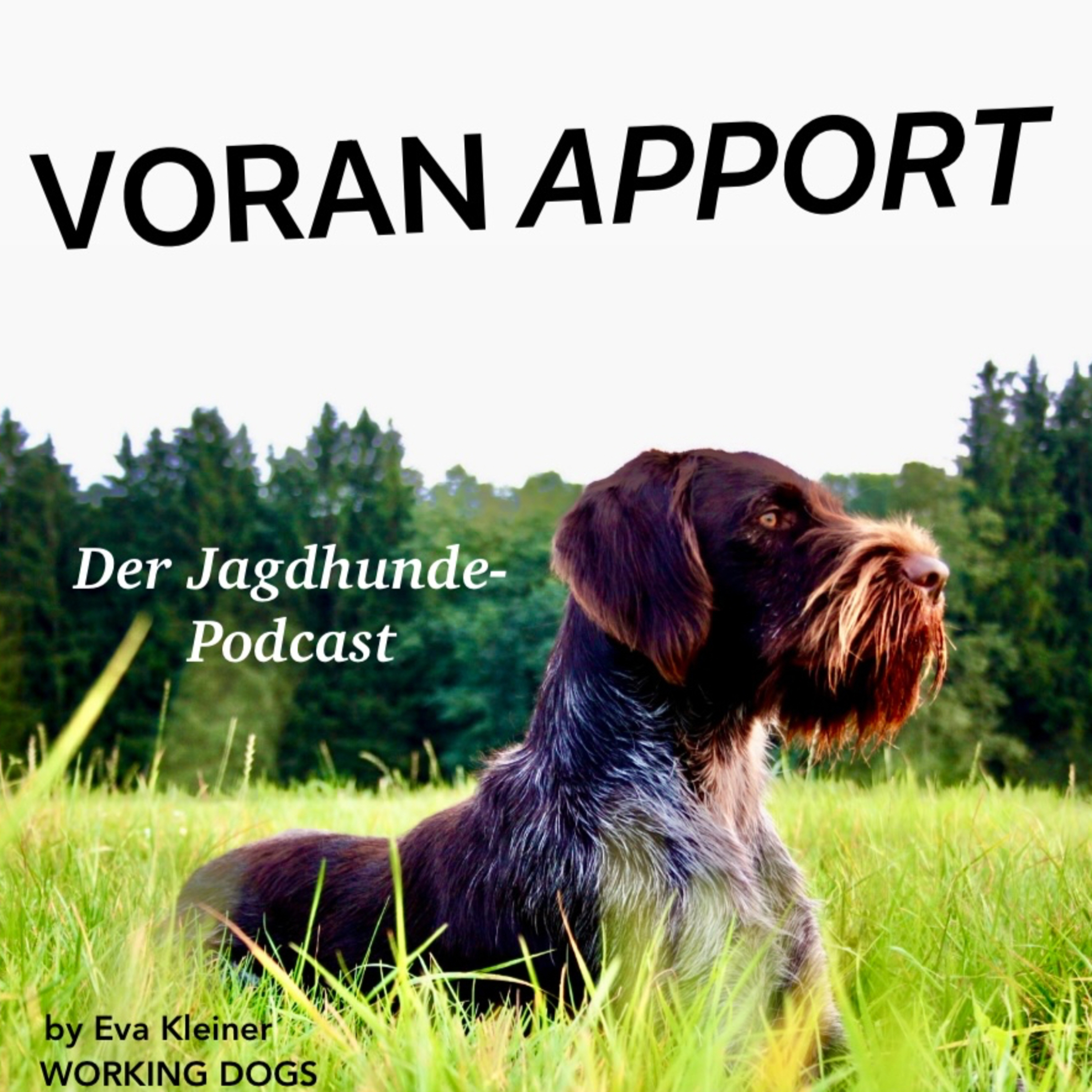 #25 Hundeführerin - Jaegermeister.in Alina mit ihren DK Hündinnen Xilly und Coco episode artwork