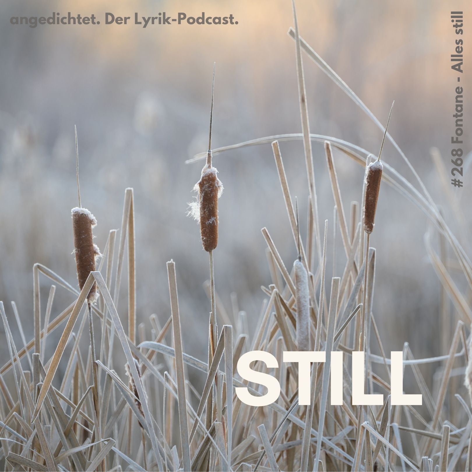 #268 Theodor Fontane - Alles still