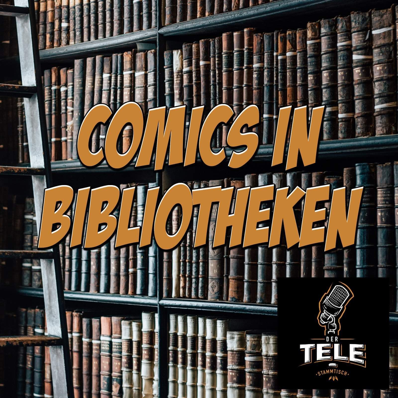 T-ST#055 - Comics in Bibliotheken (Robert Elstner (Leipzig) & Meheddiz Gürle (Bochum) episode artwork