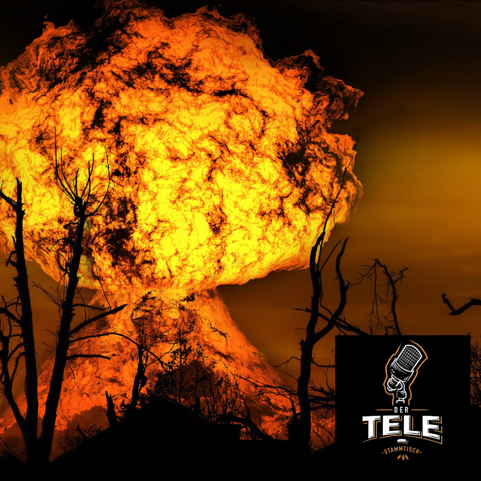 T-ST#Sonderfolge episode artwork