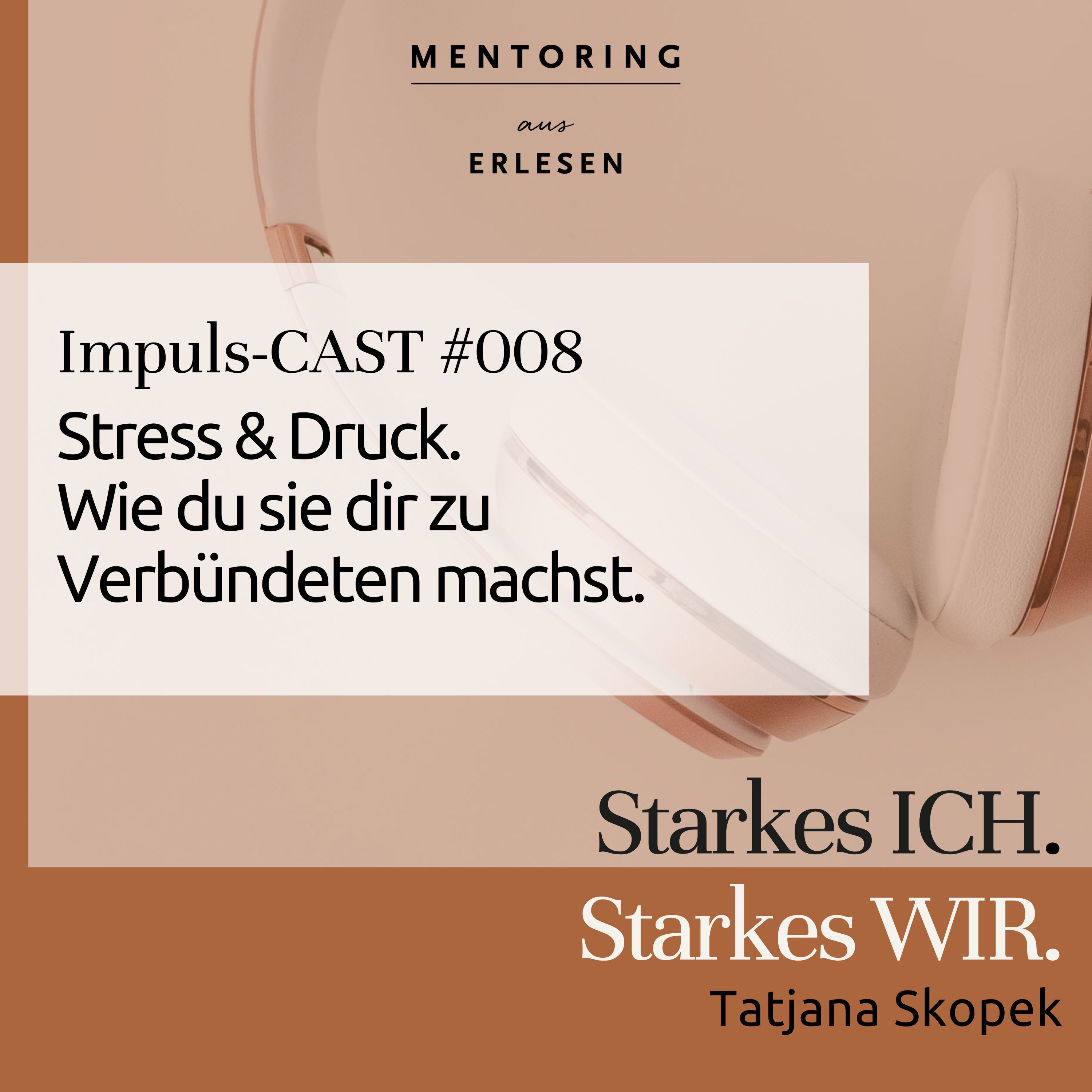 Episode #008: Stress & Druck. Wie du sie dir zu Verbündeten machst. episode artwork