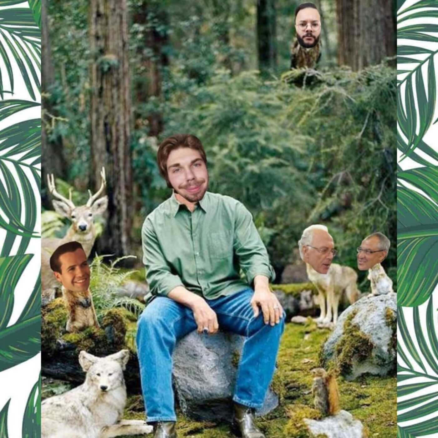 Im Wald episode artwork