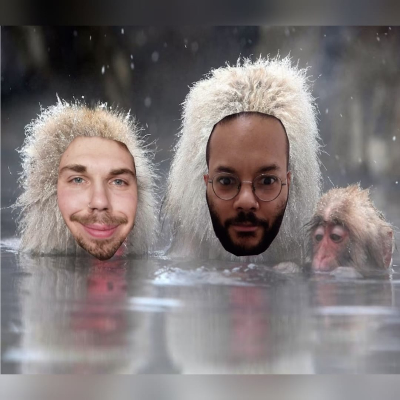 Wellness episode artwork