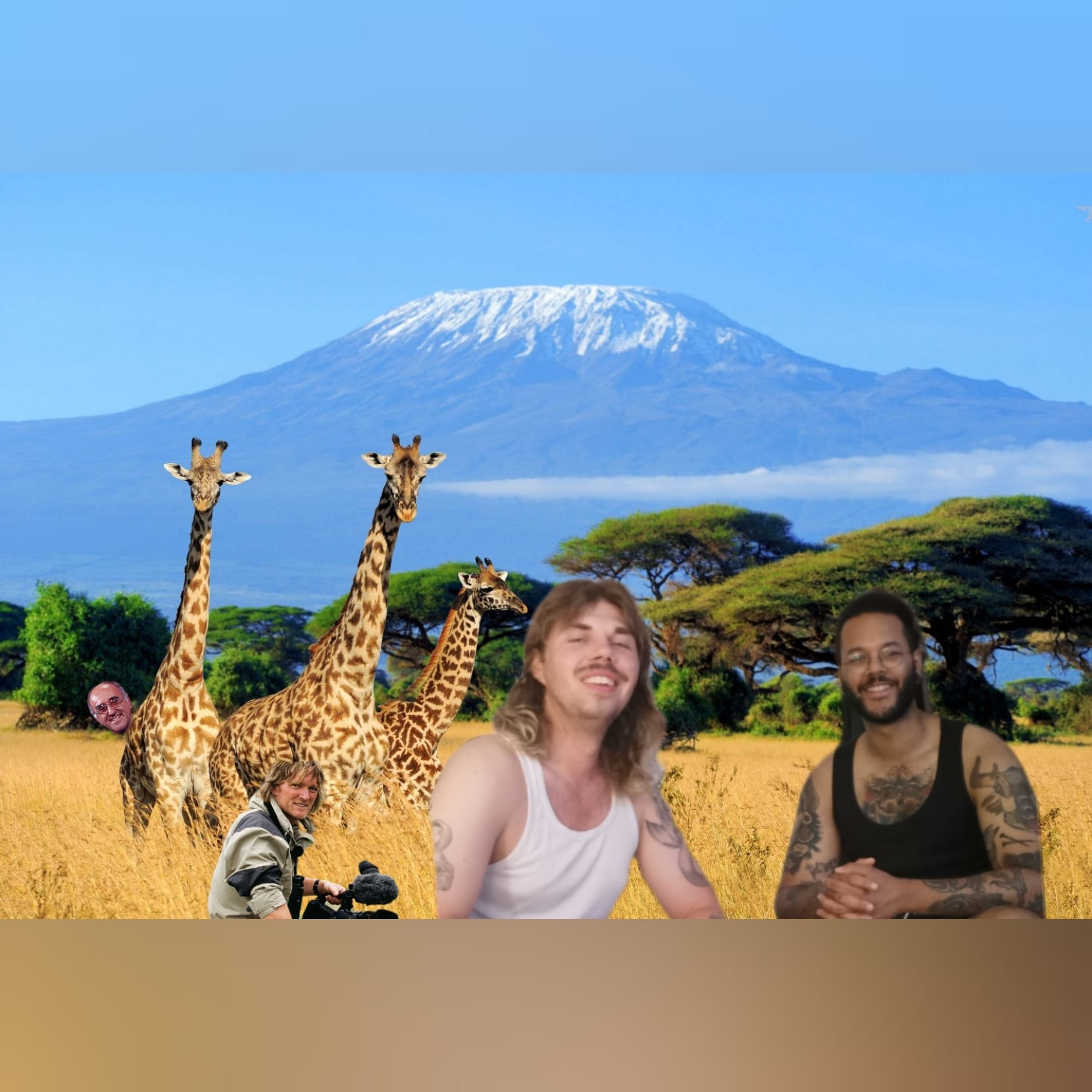 Tiere episode artwork