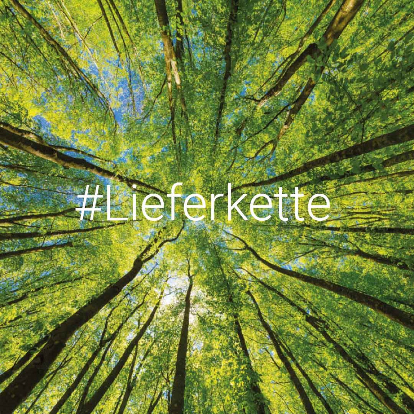 Lieferketten richtig einbinden – was muss ich beachten? episode artwork