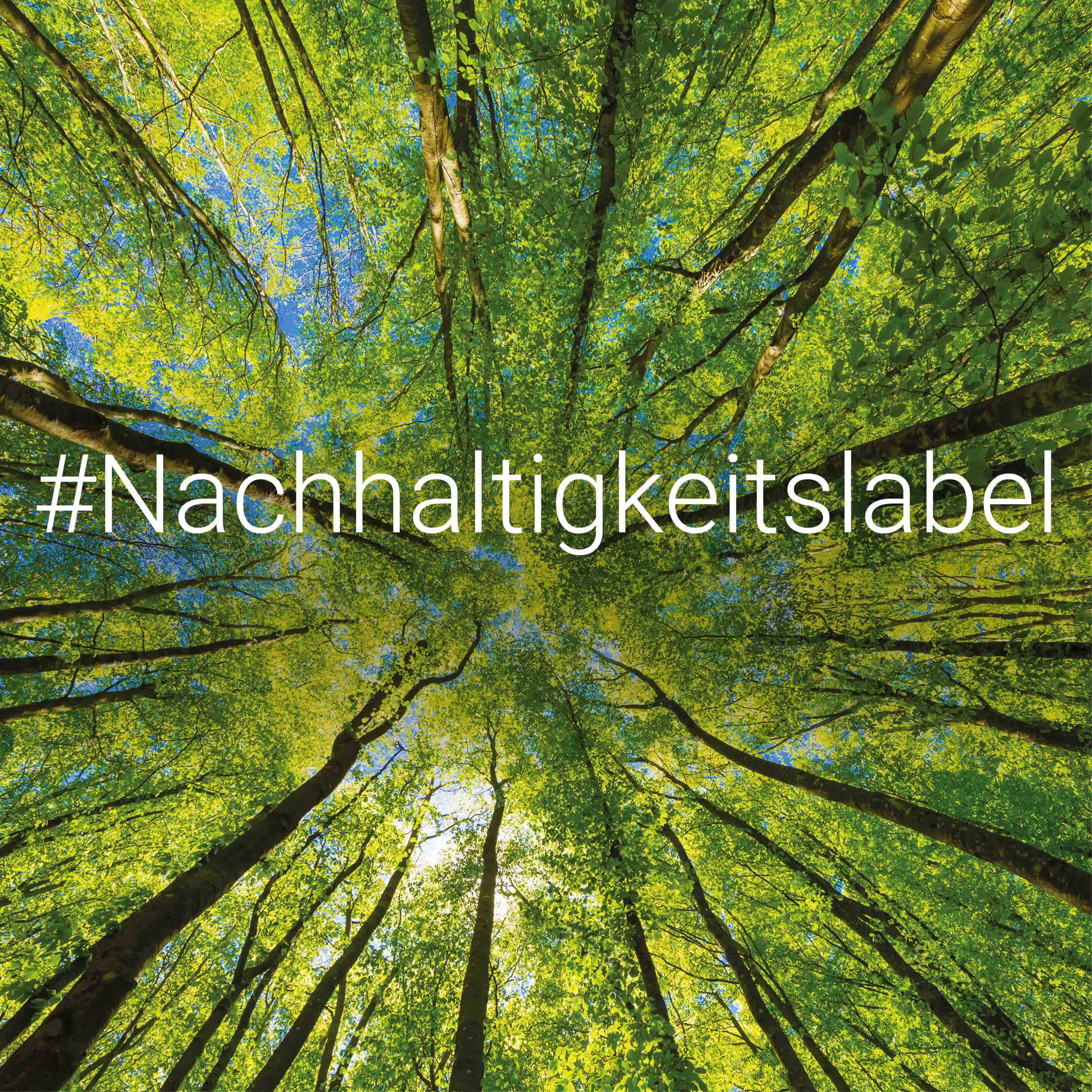Woran erkenne ich nachhaltige Handys, Tablets & Co.? episode artwork