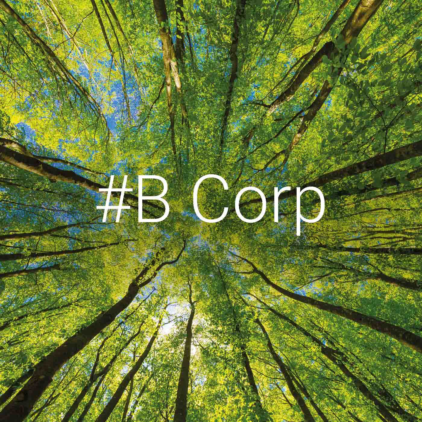 Sind B Corps die besseren Unternehmen? episode artwork