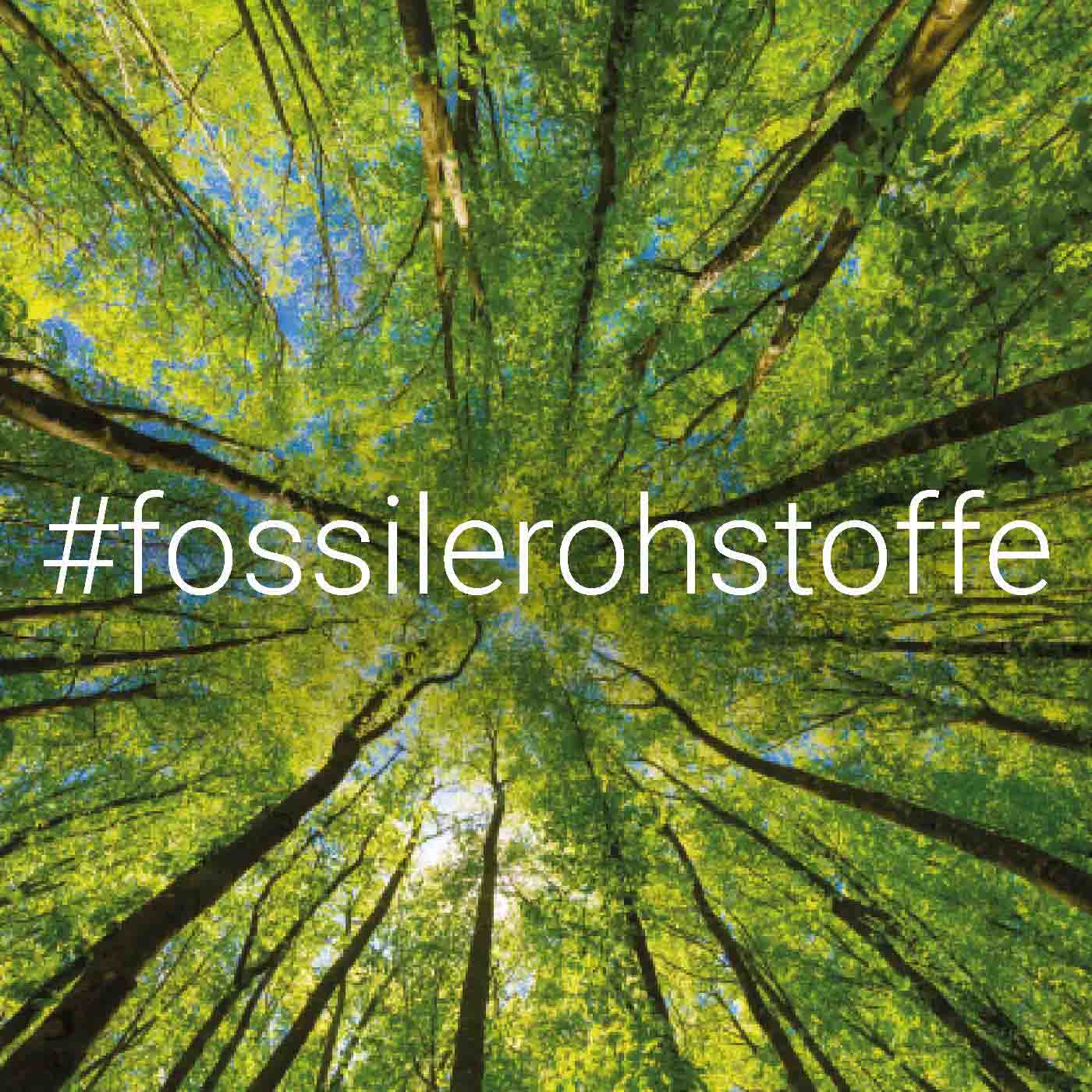 Wirtschaft ohne fossile Rohstoffe: Ist das überhaupt möglich? episode artwork