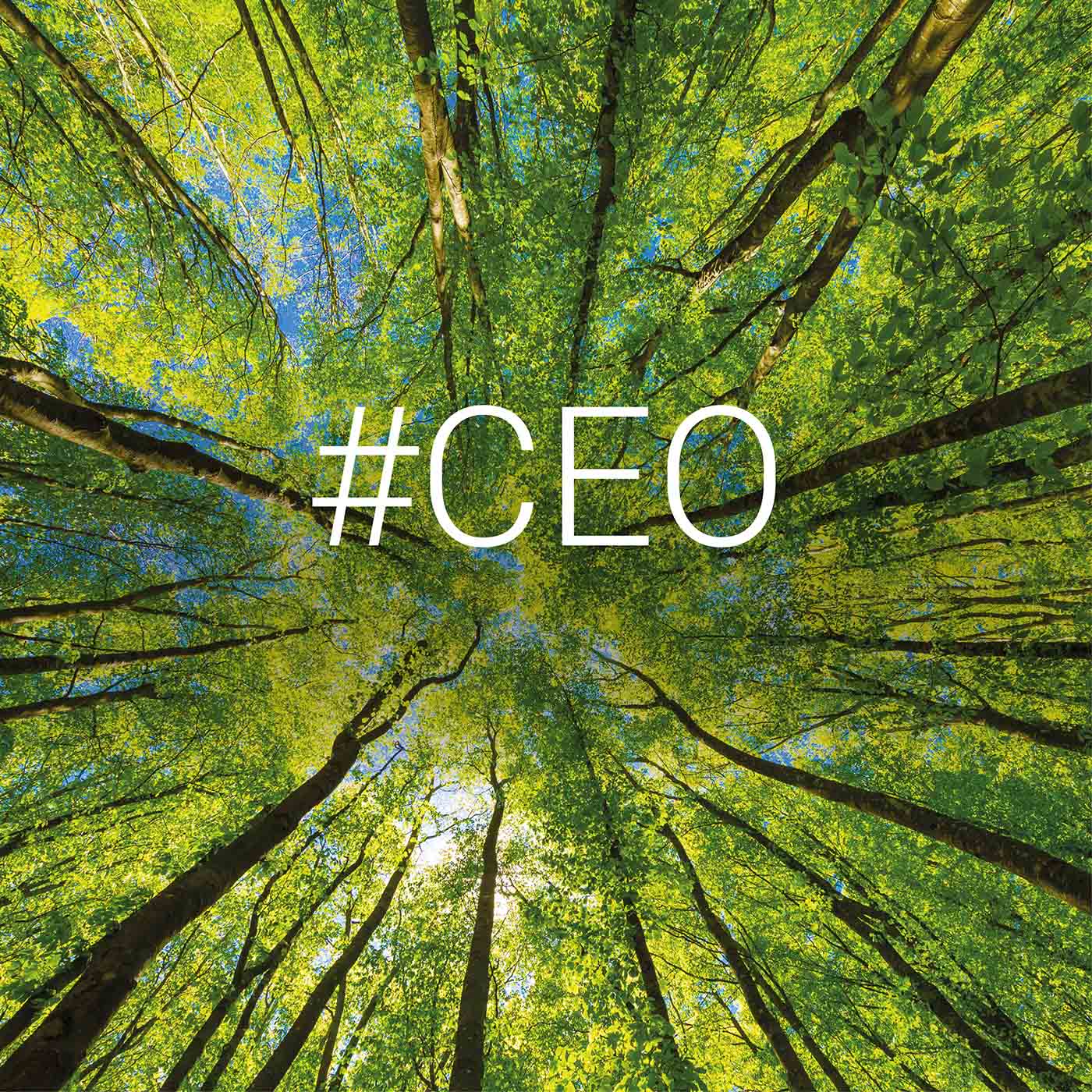 Wie überzeugen Sie Ihren CEO von Ihrer Nachhaltigkeitsstrategie? episode artwork