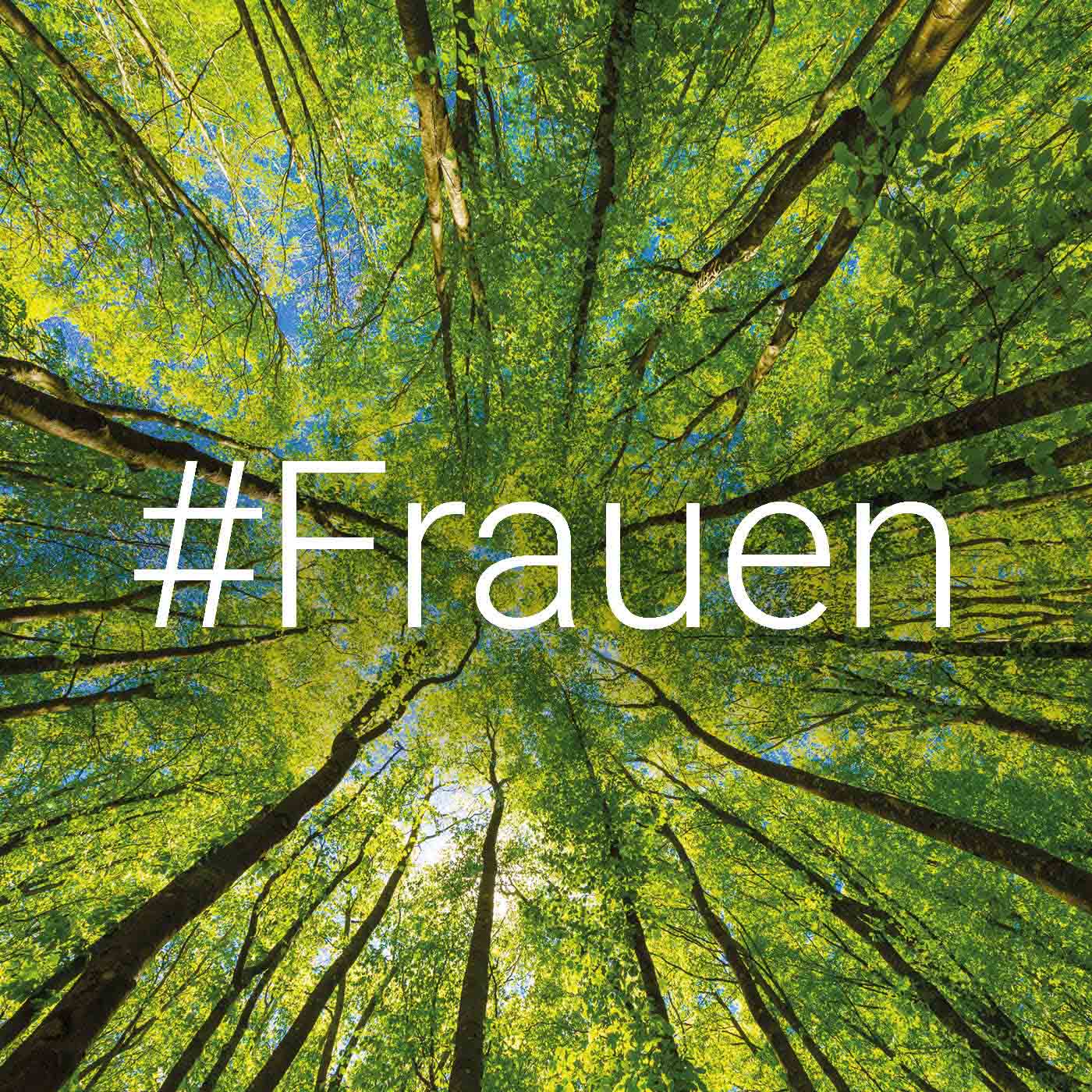 Frauen in der Arbeitswelt: Vorhang auf für die Ungleichheit episode artwork