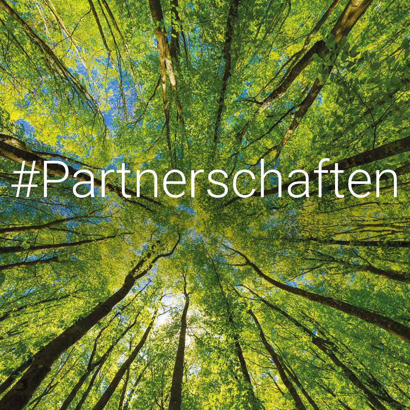 Worauf sollte man in einer Unternehmens-Partnerschaft achten? episode artwork