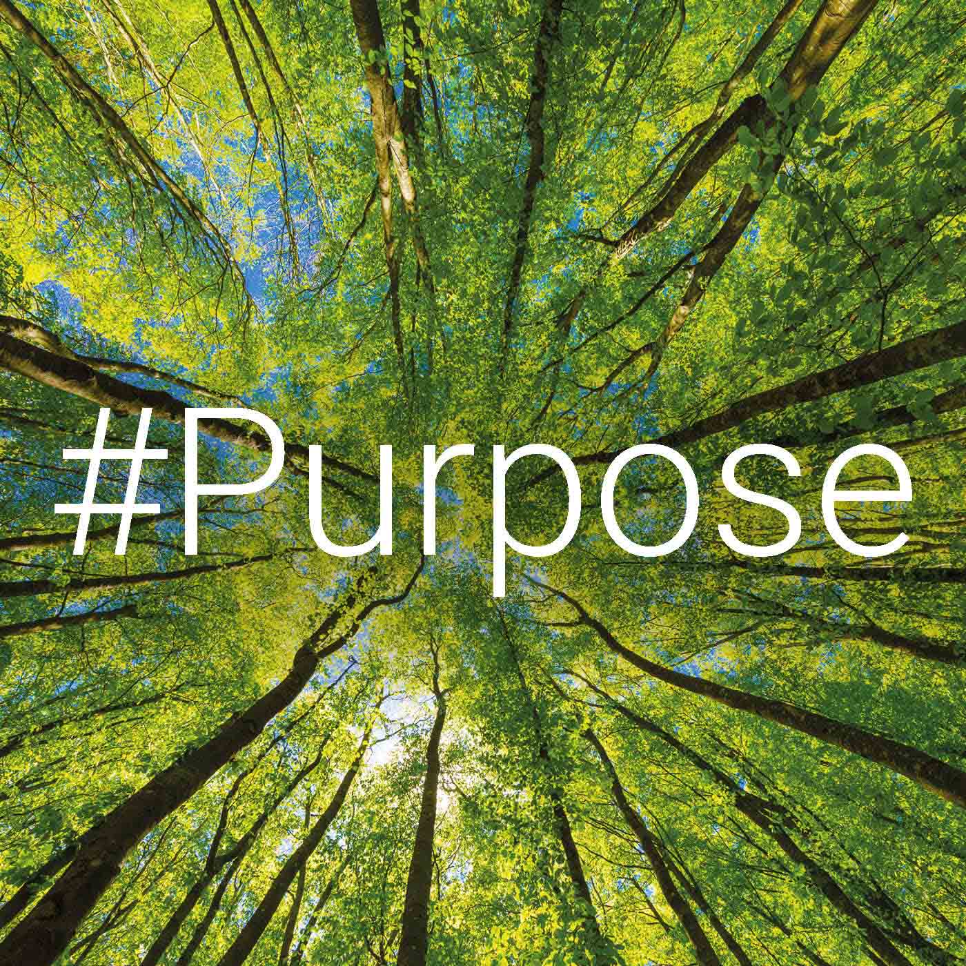 Ist das Purpose oder kann das weg? episode artwork