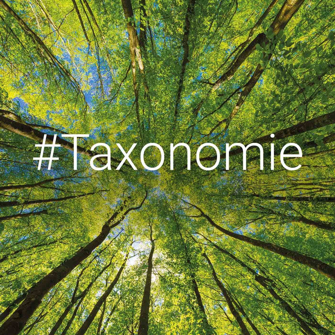 Was bedeutet die EU Taxonomie für Unternehmen? episode artwork