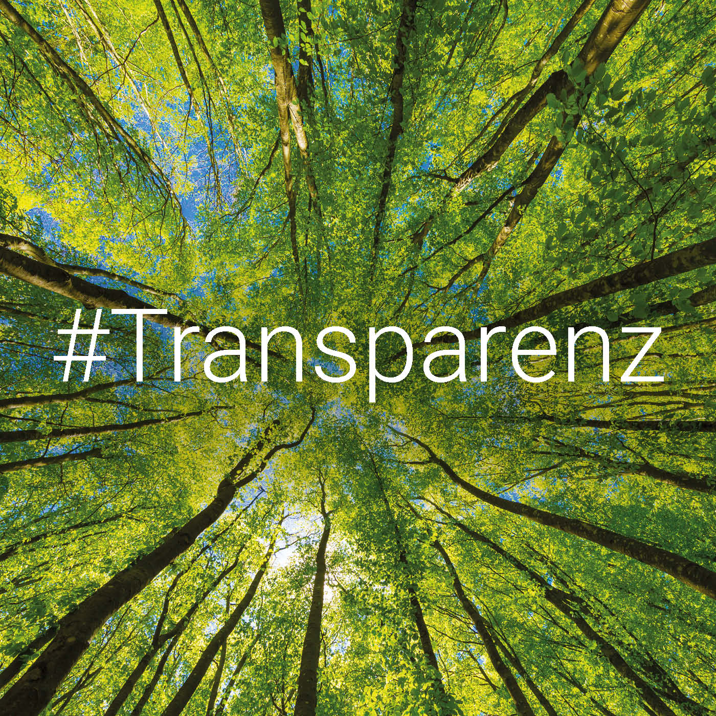 Nachhaltigkeit und Online-Handel – ein Widerspruch? episode artwork