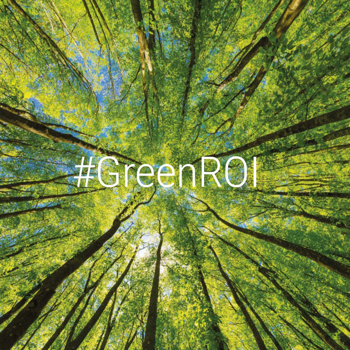 The Green ROI – Wie Unternehmen mit Klimaschutz Gewinn machen episode artwork