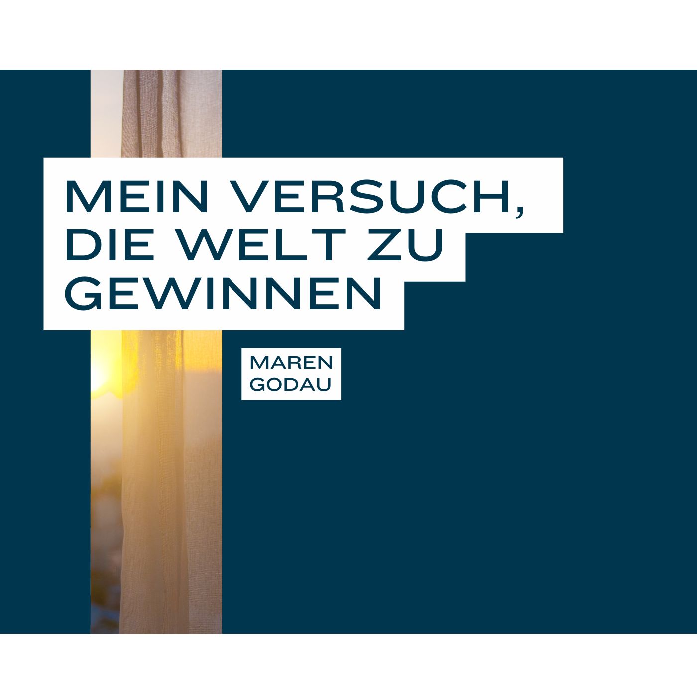 Mein Versuch, die Welt zu gewinnen episode artwork