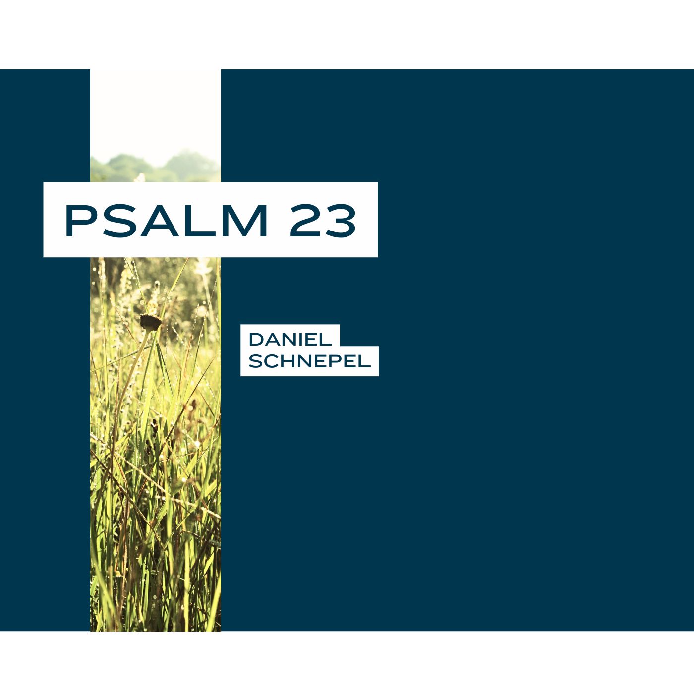 Psalm 23 episode artwork