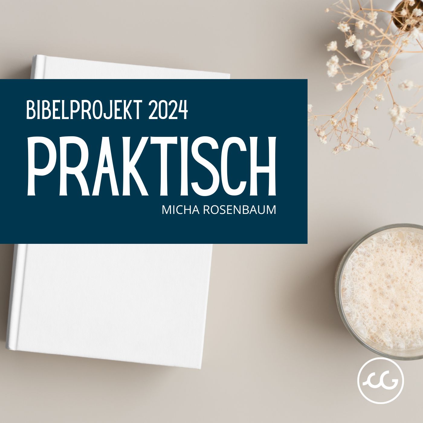 praktisch episode artwork