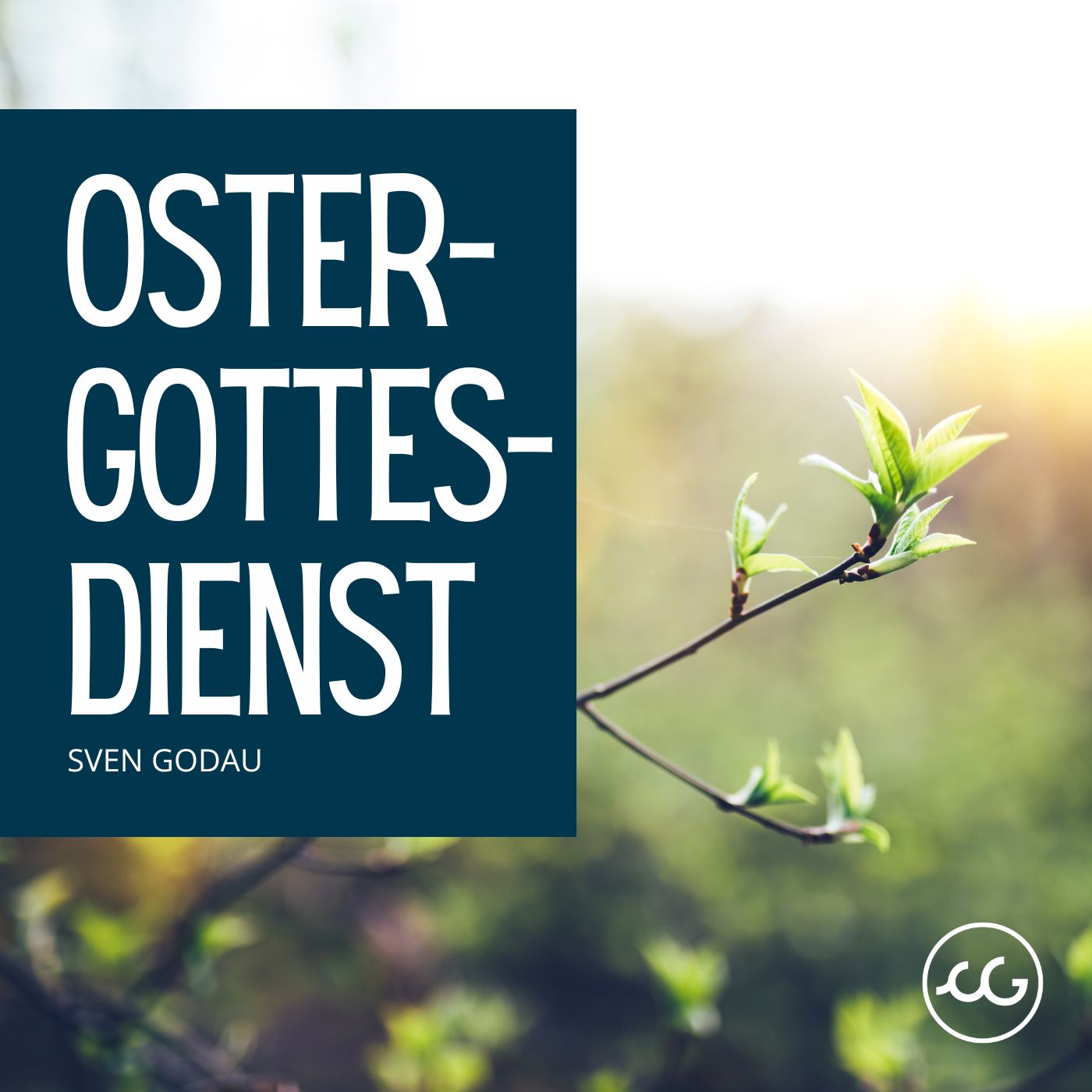 Das ultimative Geschenk episode artwork