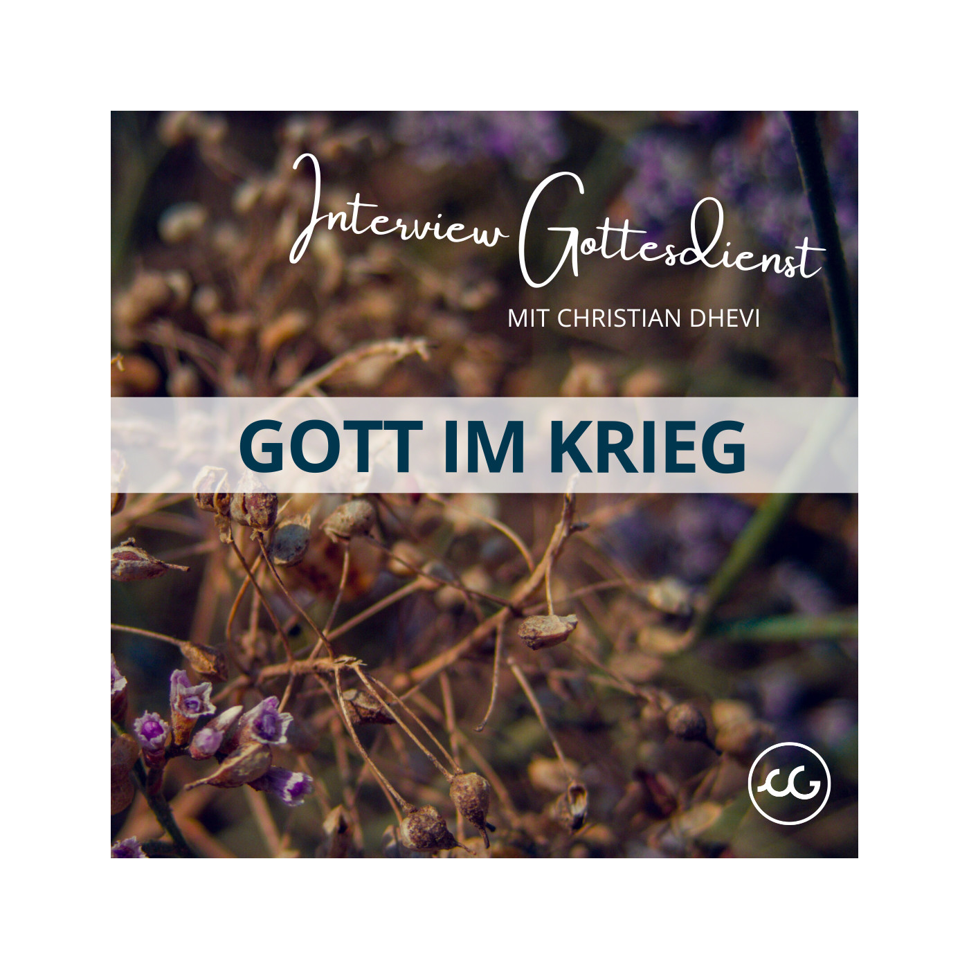 Gott im Krieg – Interview mit Christian Dhevi episode artwork