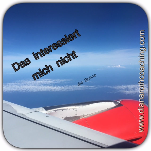 Was hat der hot dog mit dem HR gemeinsam? episode artwork
