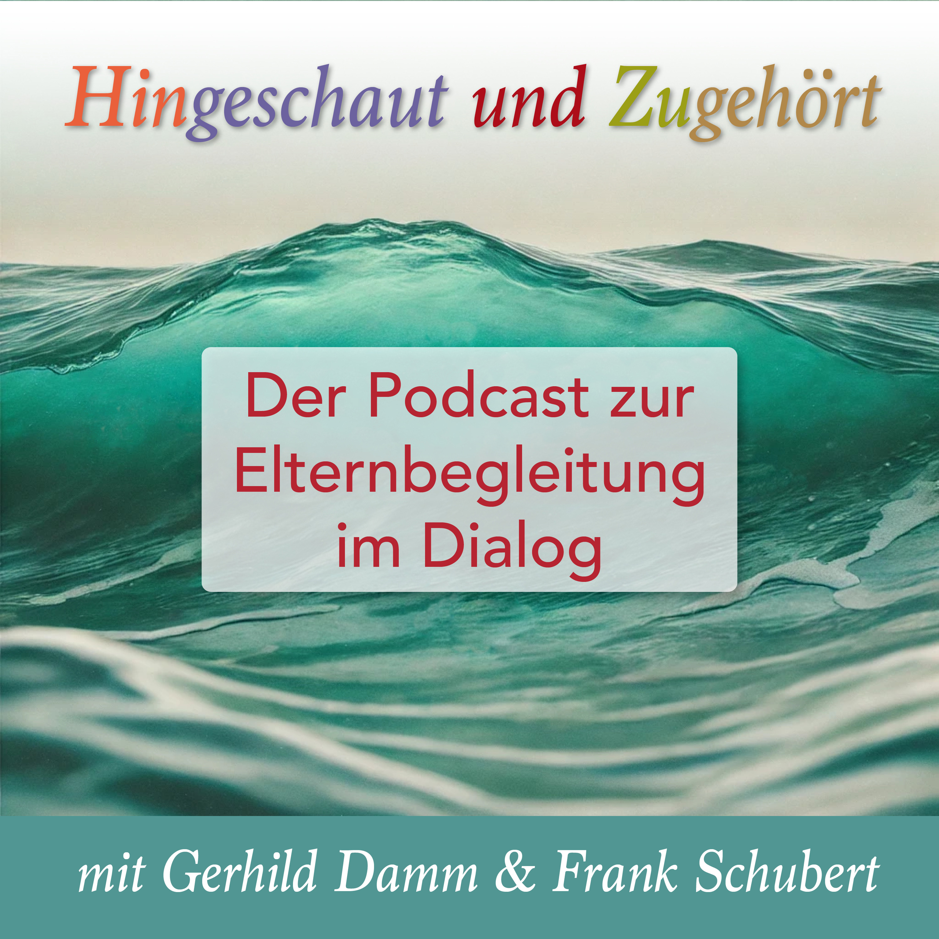 Ein Blick hinter die Kulissen des Bundesprojekts...        "Verstetigung und Qualitätssicherung von Elternbegleitung" episode artwork