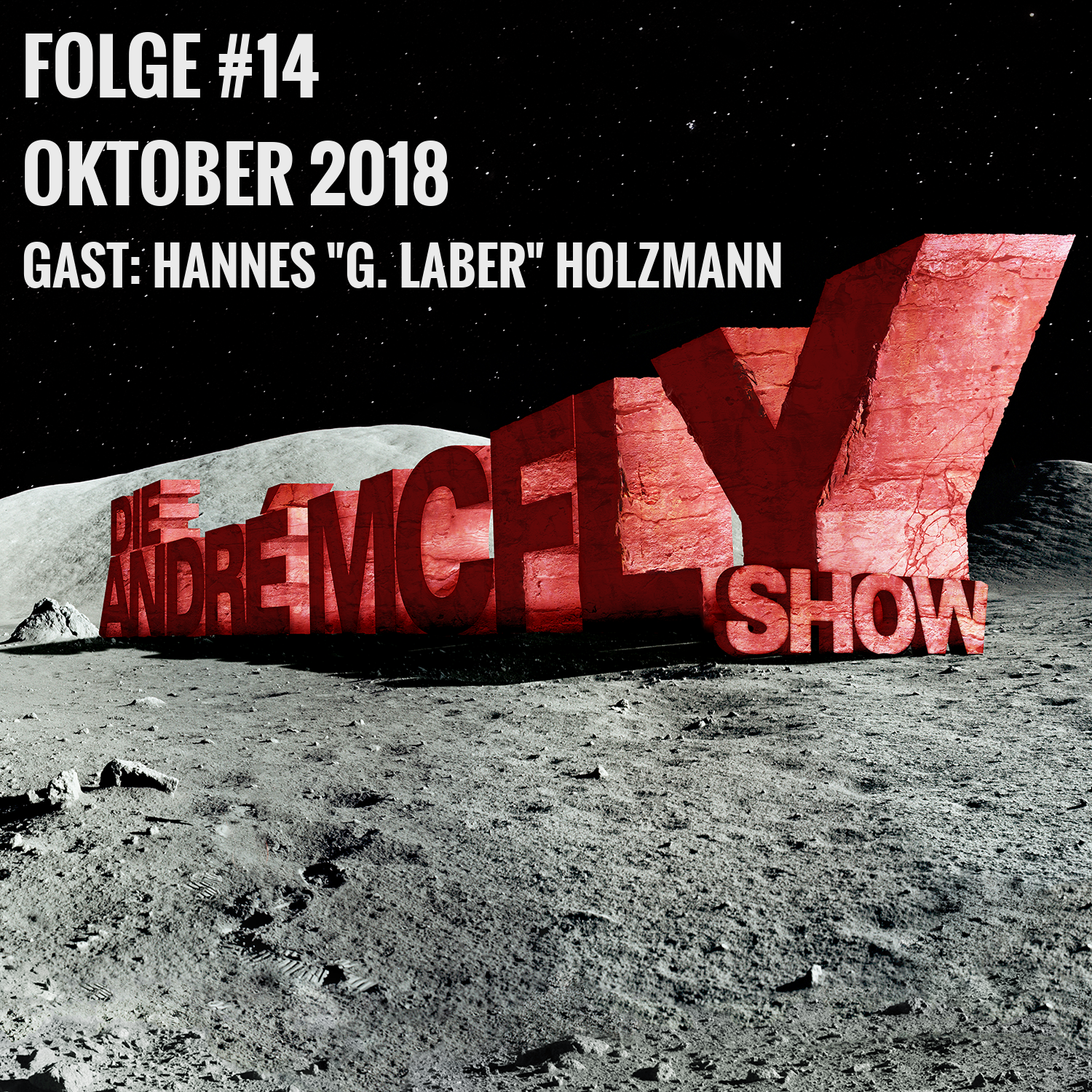 Die André McFly Show #14 | Gast: Hannes "G. Laber" Holzmann episode artwork