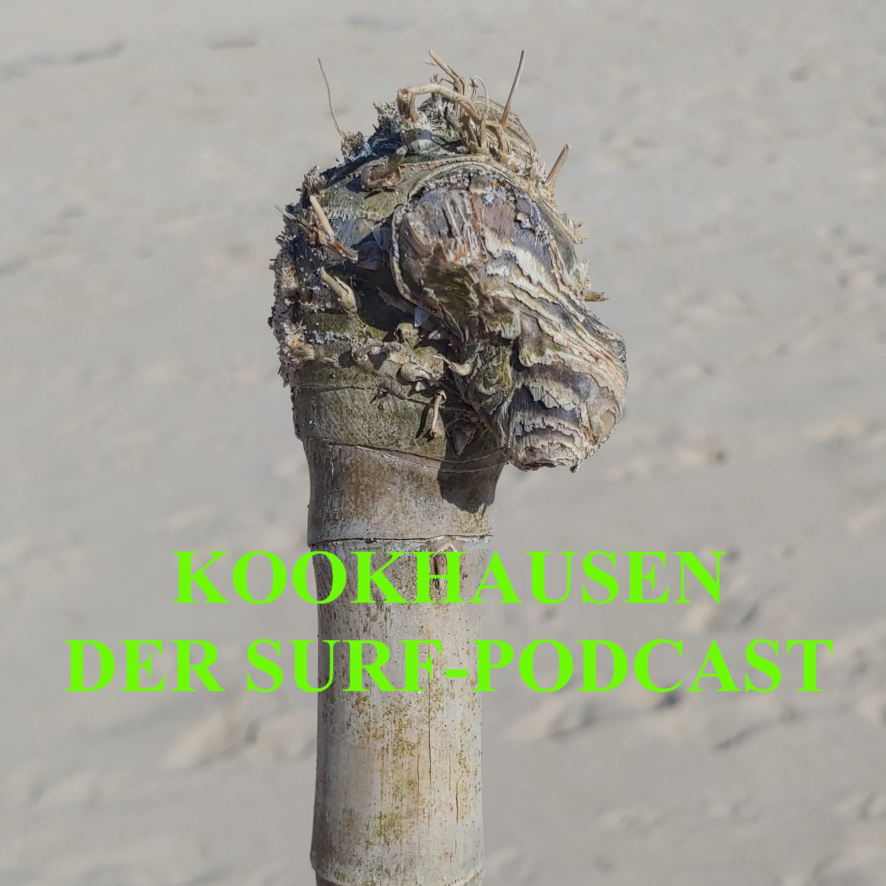 006 - Kookhausen am 14.07.2021