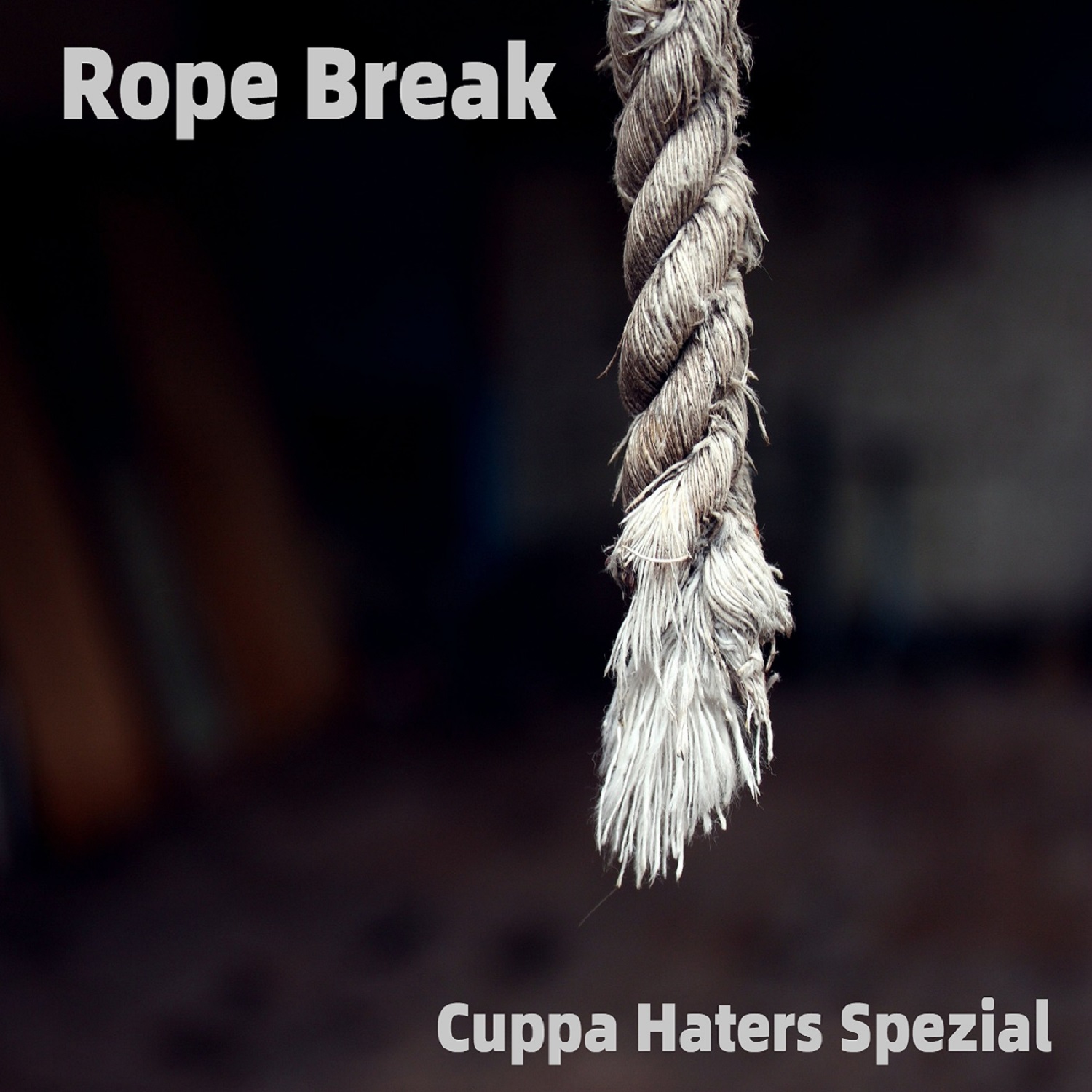 Rope Break Spezial: Steph ist CEO und Vince in Schwierigkeiten? episode artwork