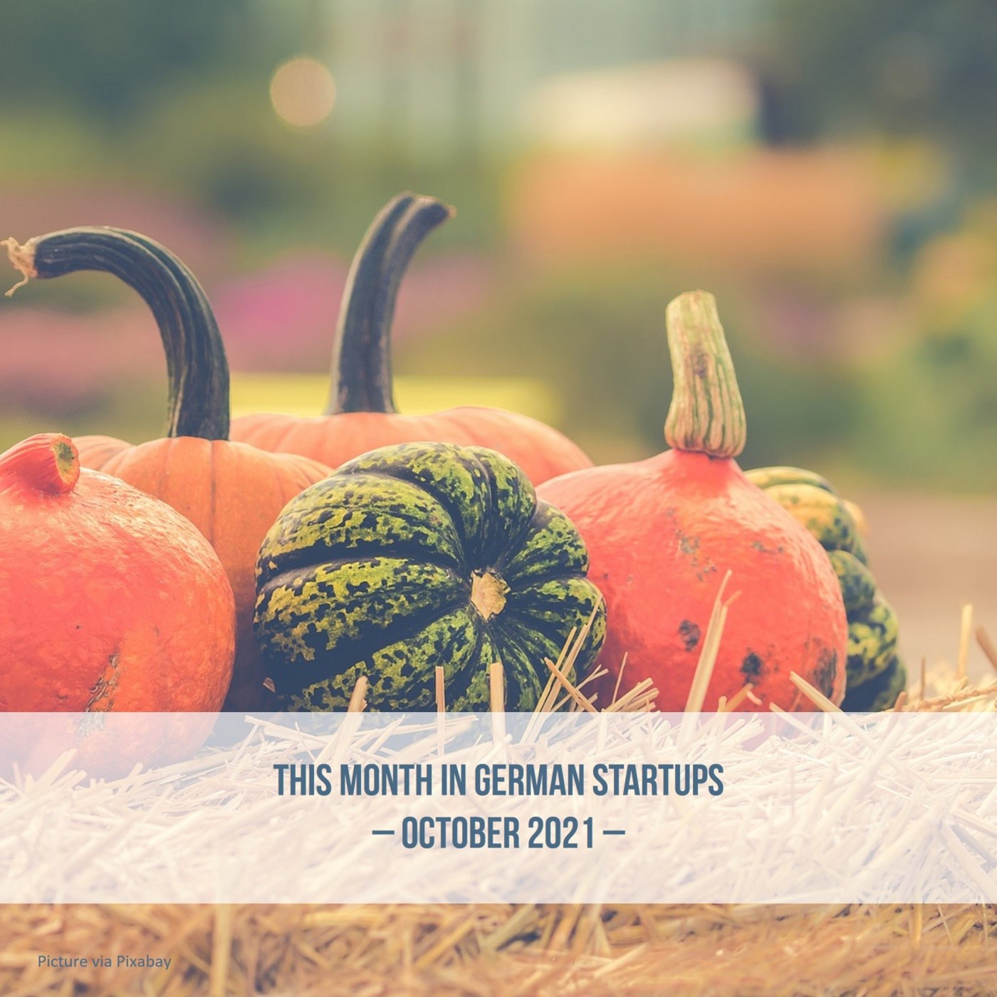 DACH October 2021: GSA Roundup episode artwork