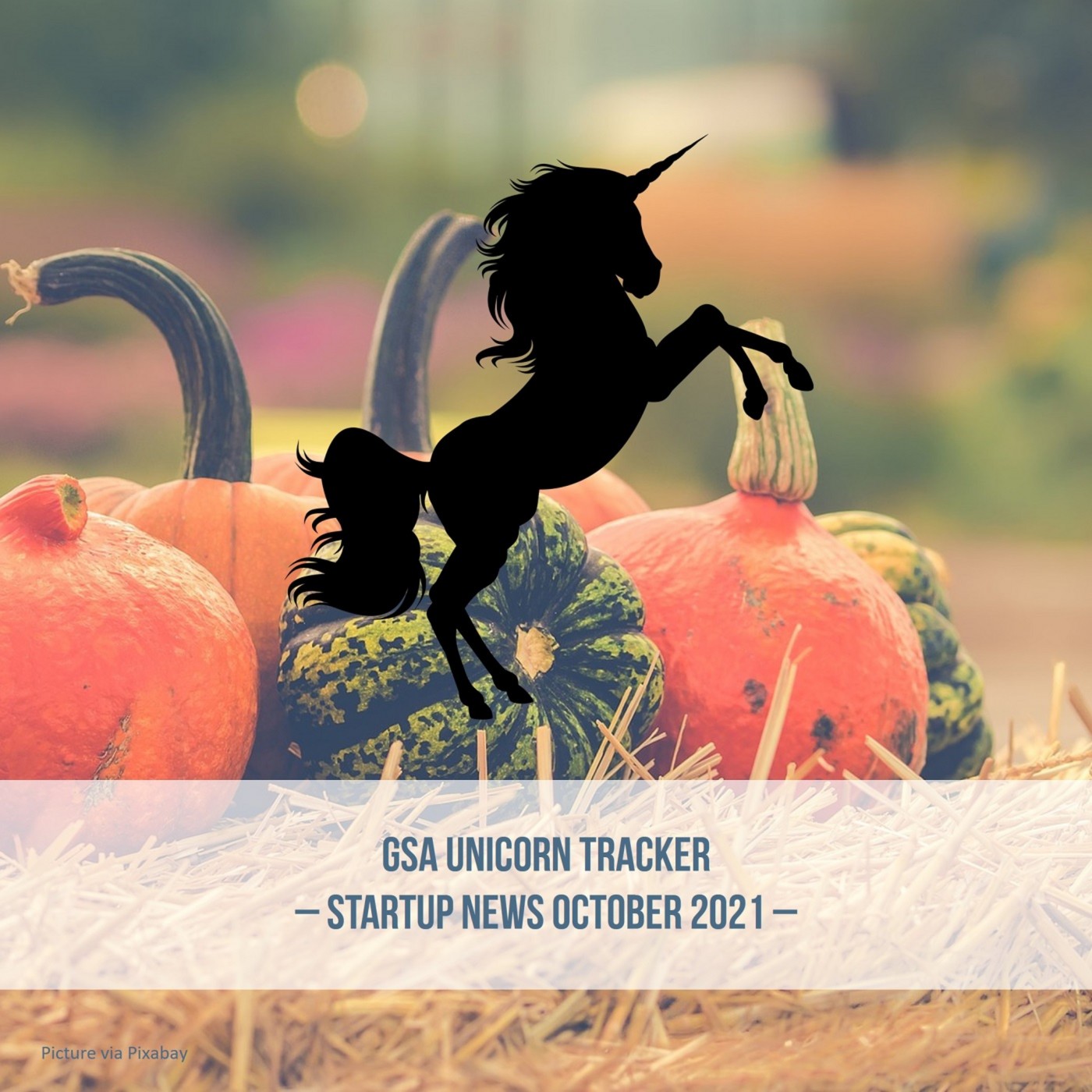 GSA Unicorn Tracker October 2021 (Bonus) episode artwork