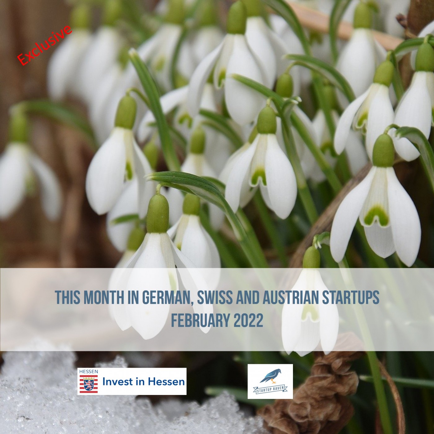 DACH February 2022: GSA Roundup episode artwork