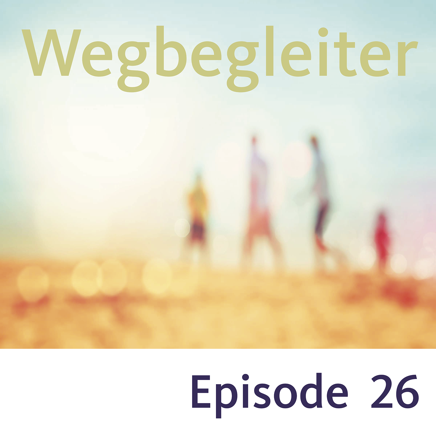 Es ist ein „Behinderungserschaffungssystem“. episode artwork