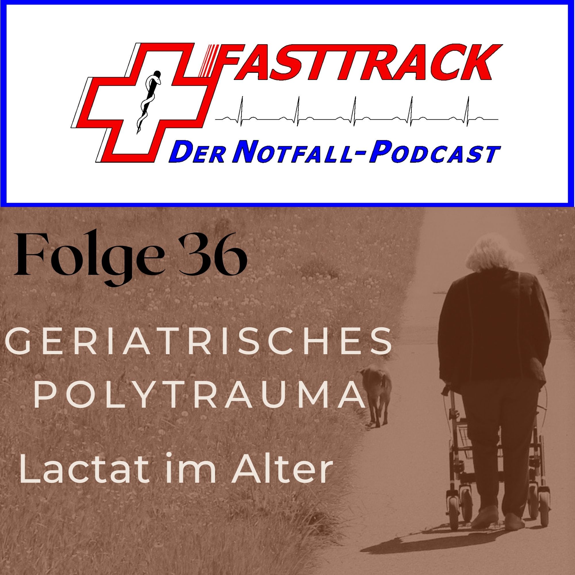 Folge 36