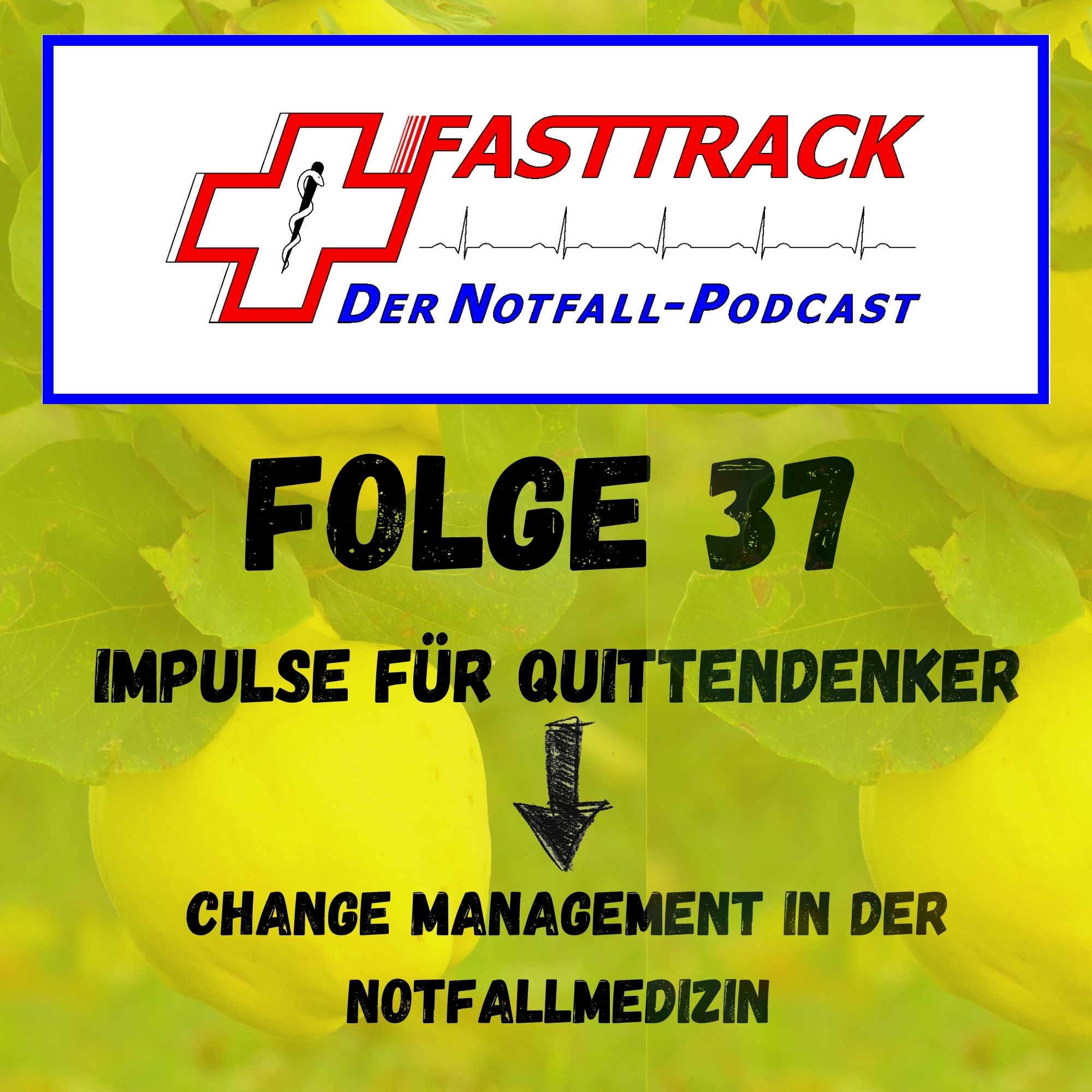 Folge 37