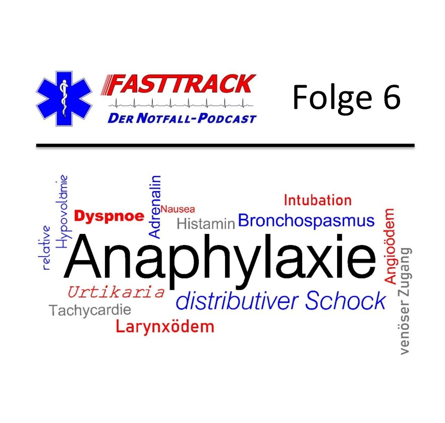 Folge 6