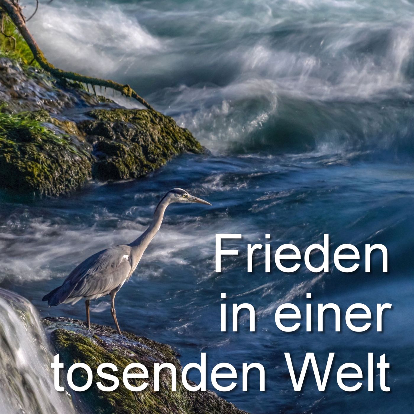 Frieden in einer tosenden Welt episode artwork